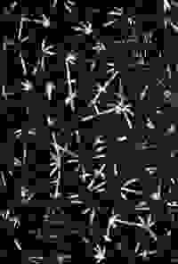 stratname: strat002-comsiana11-reseau 