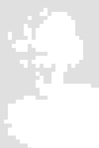 stratname: strat011-ghost 