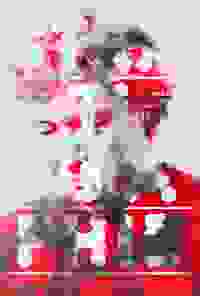 stratname: strat015-nancy-ronds-ghost 