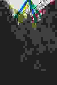 stratname: strat017-comchaumont-foret 