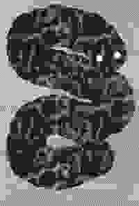 stratname: strat022-serpent 