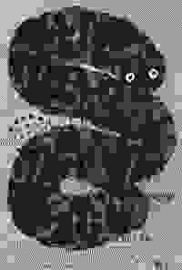 stratname: strat023-comsonoramab-serpent 