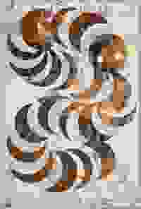 stratname: strat028-serpent-sachet-snake 