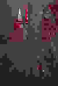 stratname: strat042-nancy-coulures-foret-diagonales 