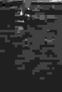 stratname: strat071-coulures-foret-sprays 