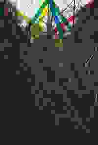 stratname: strat073-comchaumont-foret-diagonales 