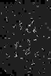 stratname: strat076-comsiana11-reseau-reseau180 