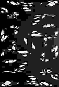 stratname: strat115-ellipses-ellipses 