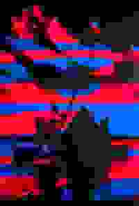 stratname: strat160-comjazzdor19a-zangbeto 