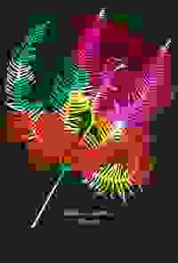 stratname: strat166-gleichenia-comjazzdor21 